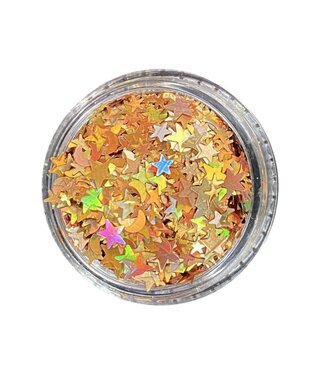 Magpie Gold Holo Moon & Stars Shape Pot