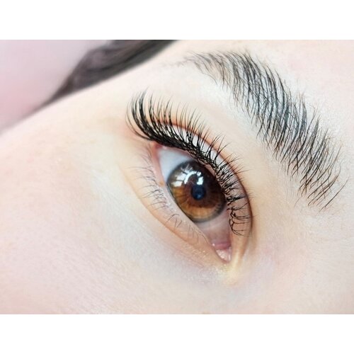 Registration Lash & Brow Lifting courses