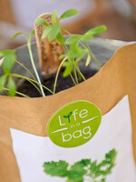sac à pousser bio - coriandre