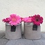Oohh Kleine bloempot cement look in gerecycleerd papier
