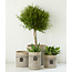 Oohh Bloempot in papier met cementlook, groot formaat