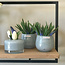 Land by Dean Photophore en verre convexe bleu clair - Dean Flowers