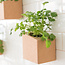 Life in a bag kruidentuin grow block