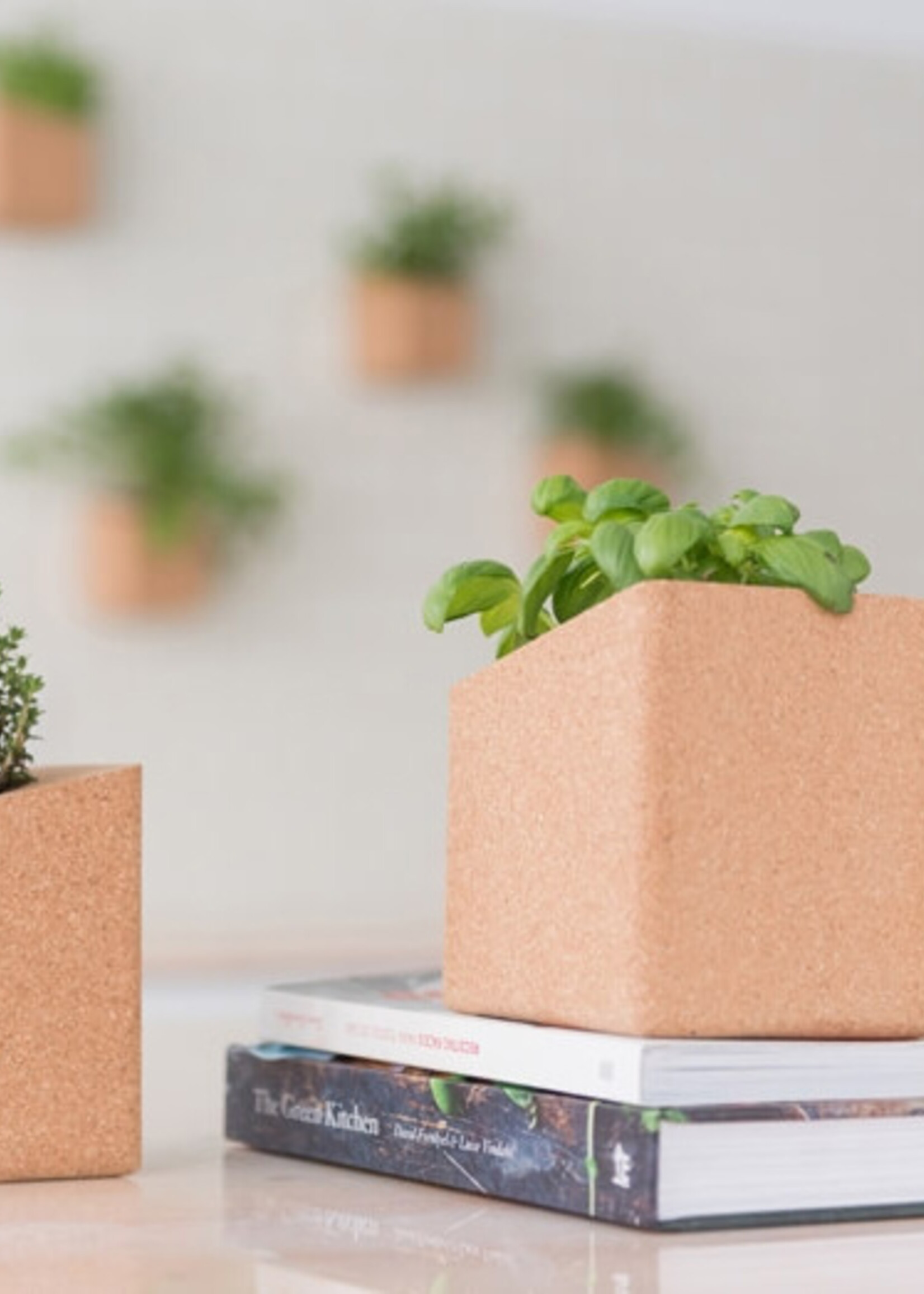 kruidentuin grow block