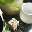 SoyHive Kaars Bubble Beige met gedroogde blaadjes