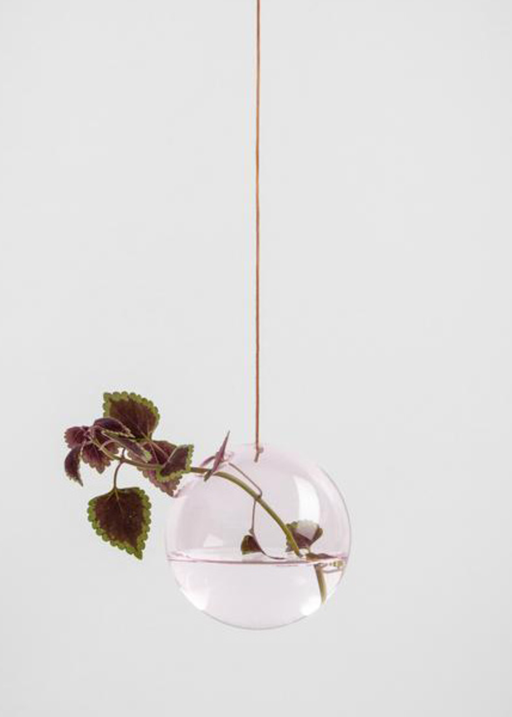 Studio About Hanging bubble vaas roos M