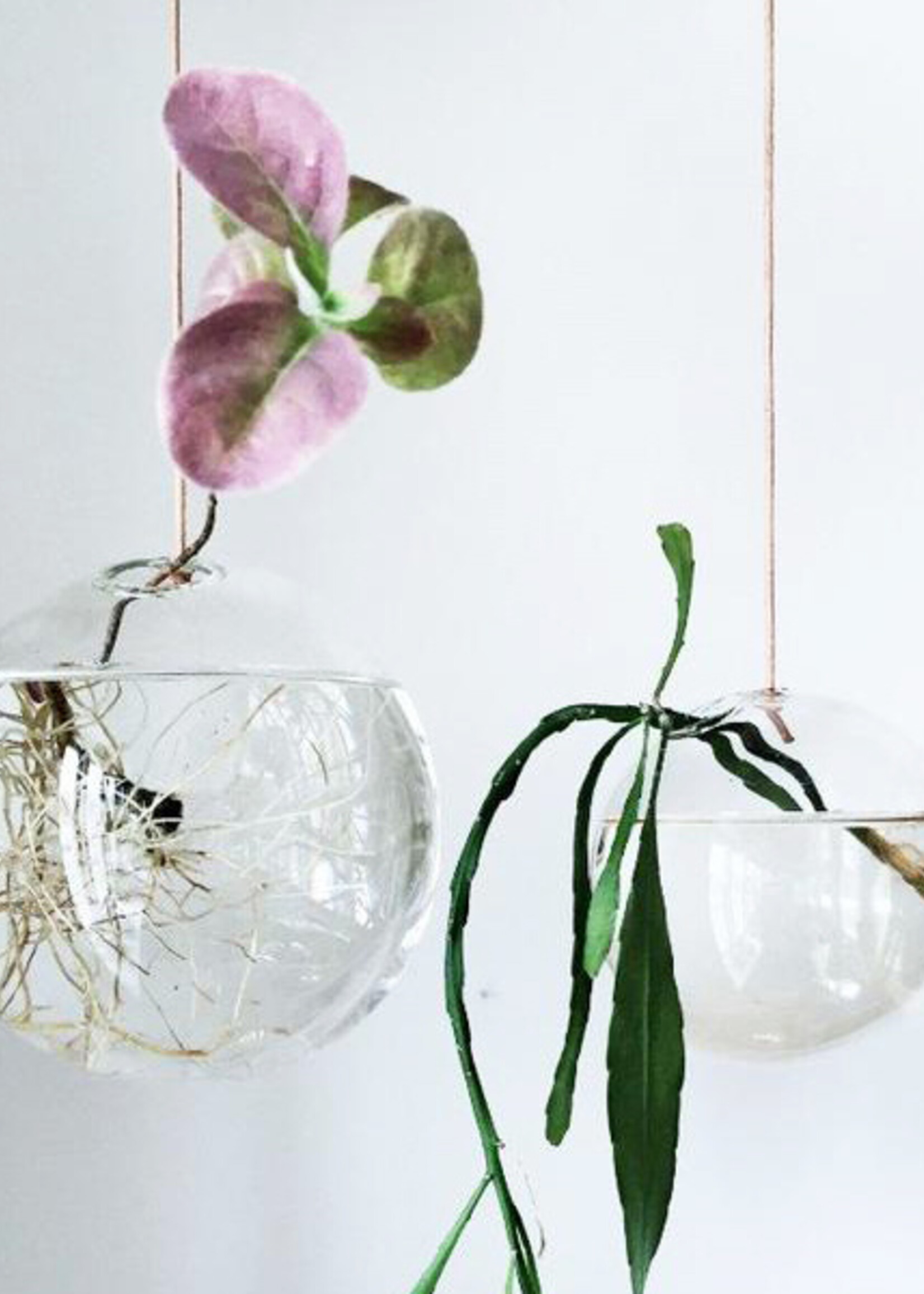 Studio About Vase à bulles suspendu tranparent S
