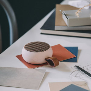 Alice roestvrij Thermisch Kreafunk | A Go bluetooth speaker dusty pink - The Present Perfect