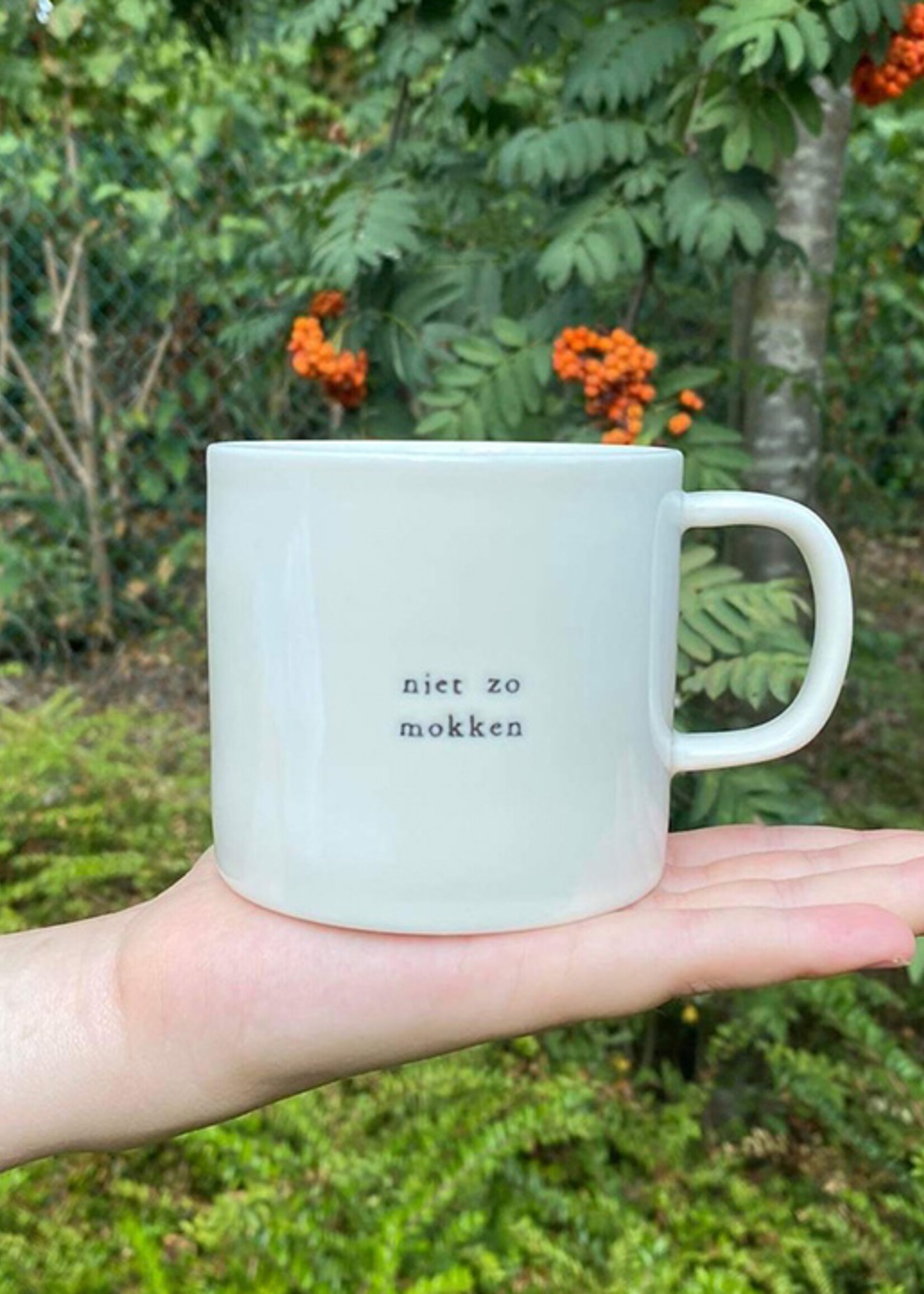 Mail box Mug 'niet zo mokken'