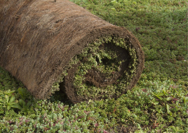 Sedummat | Per M2 | Incl. onderdoek, drainage en substraatkorrels