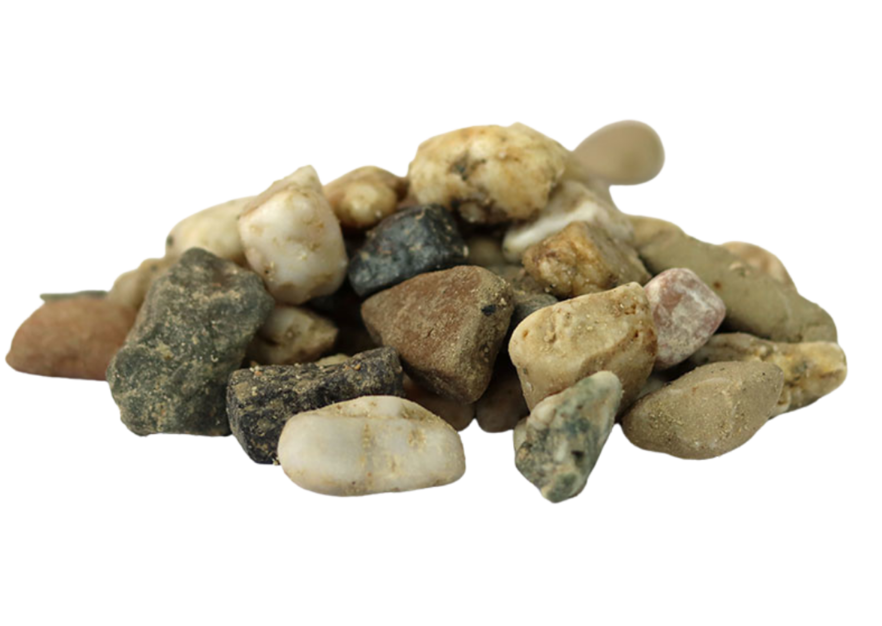 Sedum cassette | Per M2 | Incl. onderdoek en grindrand