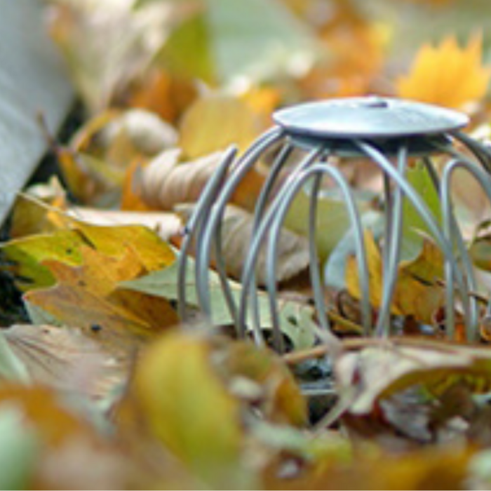 Simplysedum Boldraadrooster RVS