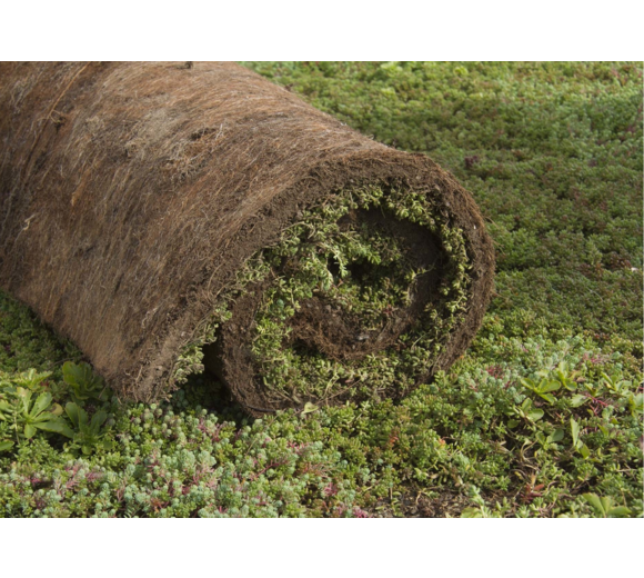 Sedumdak Kopen Sedumdak Vanaf Per M Simply Sedum