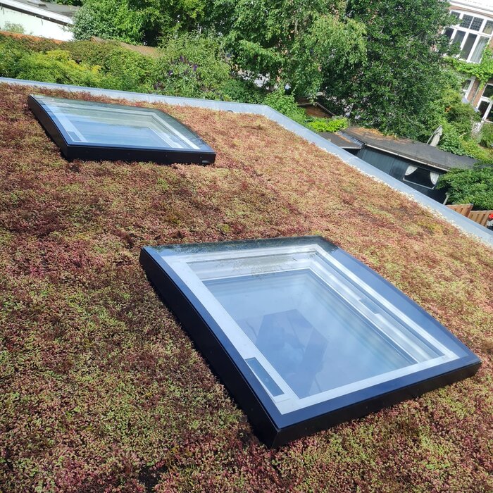 Simplysedum Sedummat | Per M2 | Incl. onderdoek, substraatkorrels en grindrand