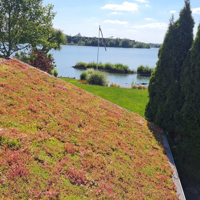 Simplysedum Sedum Cassette | Per M2 | Incl. onderdoek