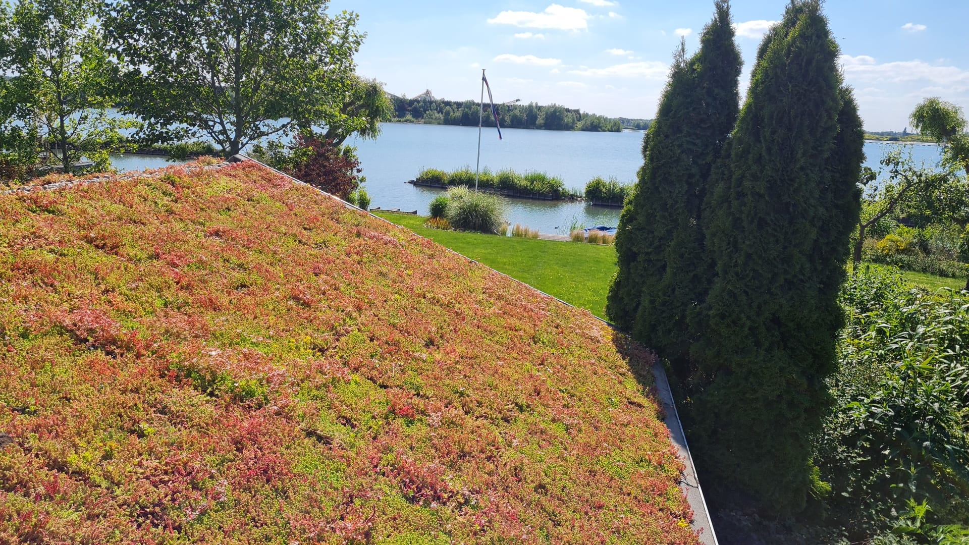 Sedum Cassette | Per M2 | Incl. onderdoek