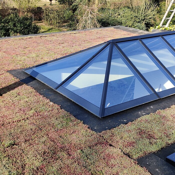 SimplySedum Sedum Cassette | Per stuk | 60x40cm