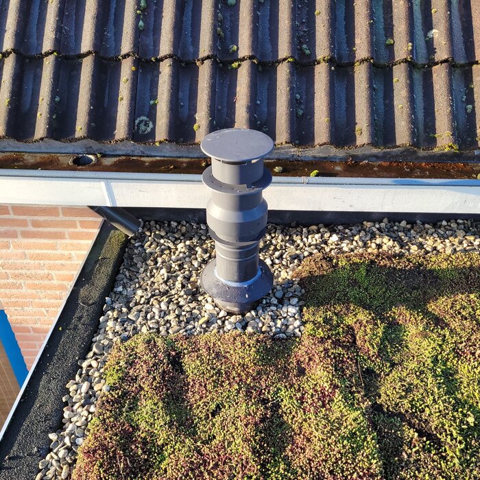 Simplysedum Limburgs wit grind