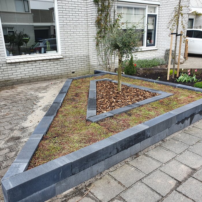 SimplySedum Sedummixmat | Per M2