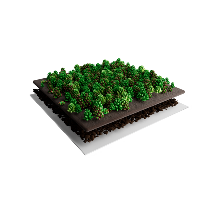 Simplysedum Sedummat | Per M2 | Incl. onderdoek en substraatkorrels