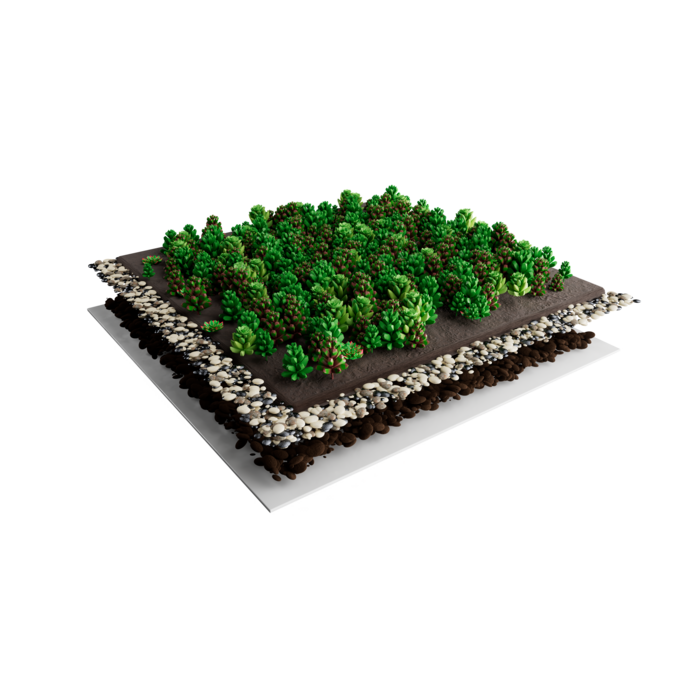 Simplysedum Sedummat | Per M2 | Incl. onderdoek, substraatkorrels en grindrand