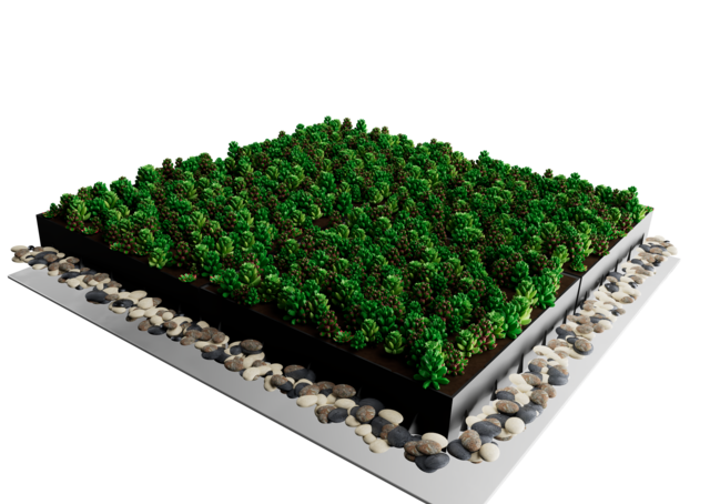 Sedum cassette | Per M2 | Incl. onderdoek en grindrand