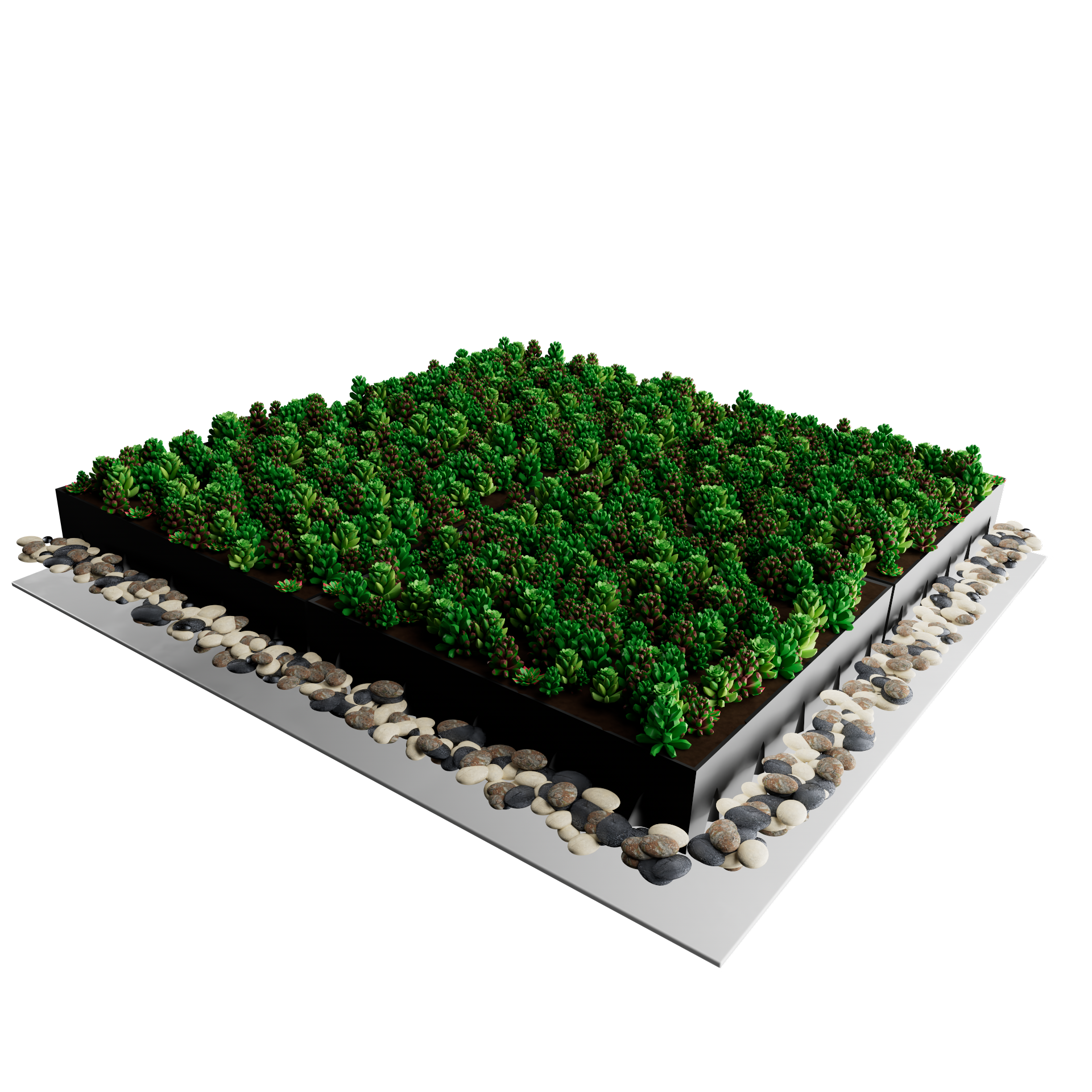 Sedum cassette | Per M2 | Incl. onderdoek en grindrand