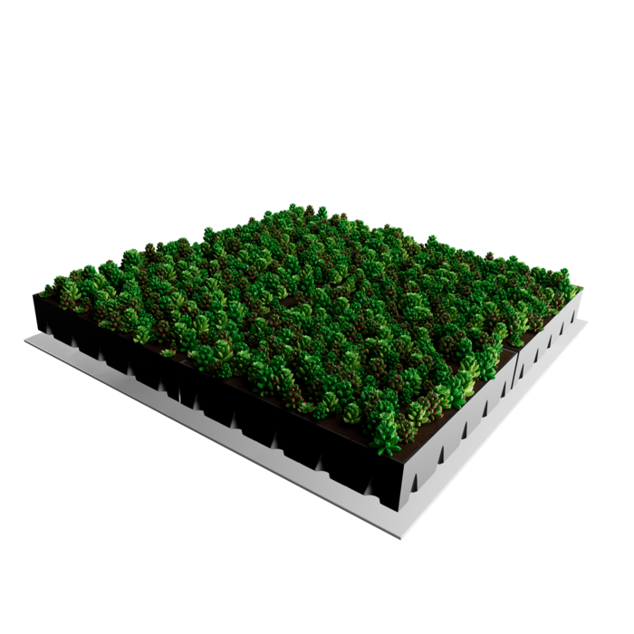 Simplysedum Sedum Cassette | Per M2 | Incl. onderdoek