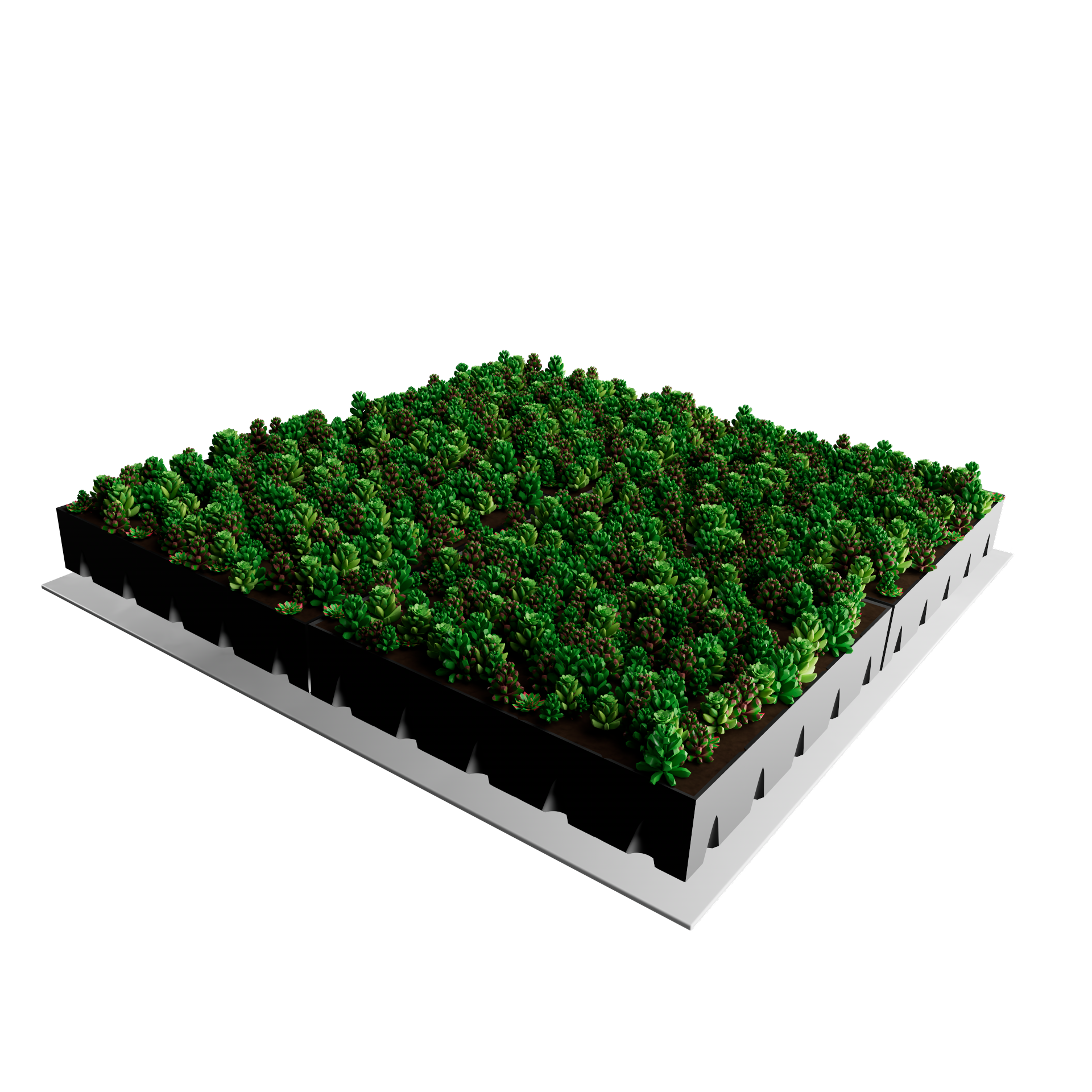 Sedum Cassette | Per M2 | Incl. onderdoek