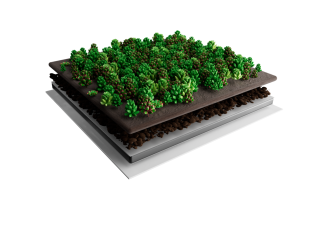 Sedummat | Per M2 | Incl. onderdoek, drainage en substraatkorrels