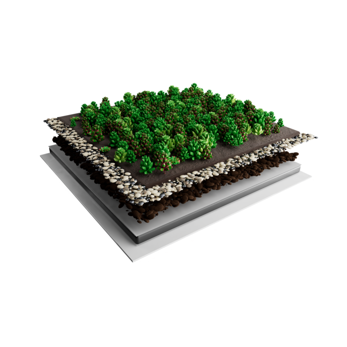 Simplysedum Sedummat | Per M2 | Incl. onderdoek, drainage, substraatkorrels en grindrand