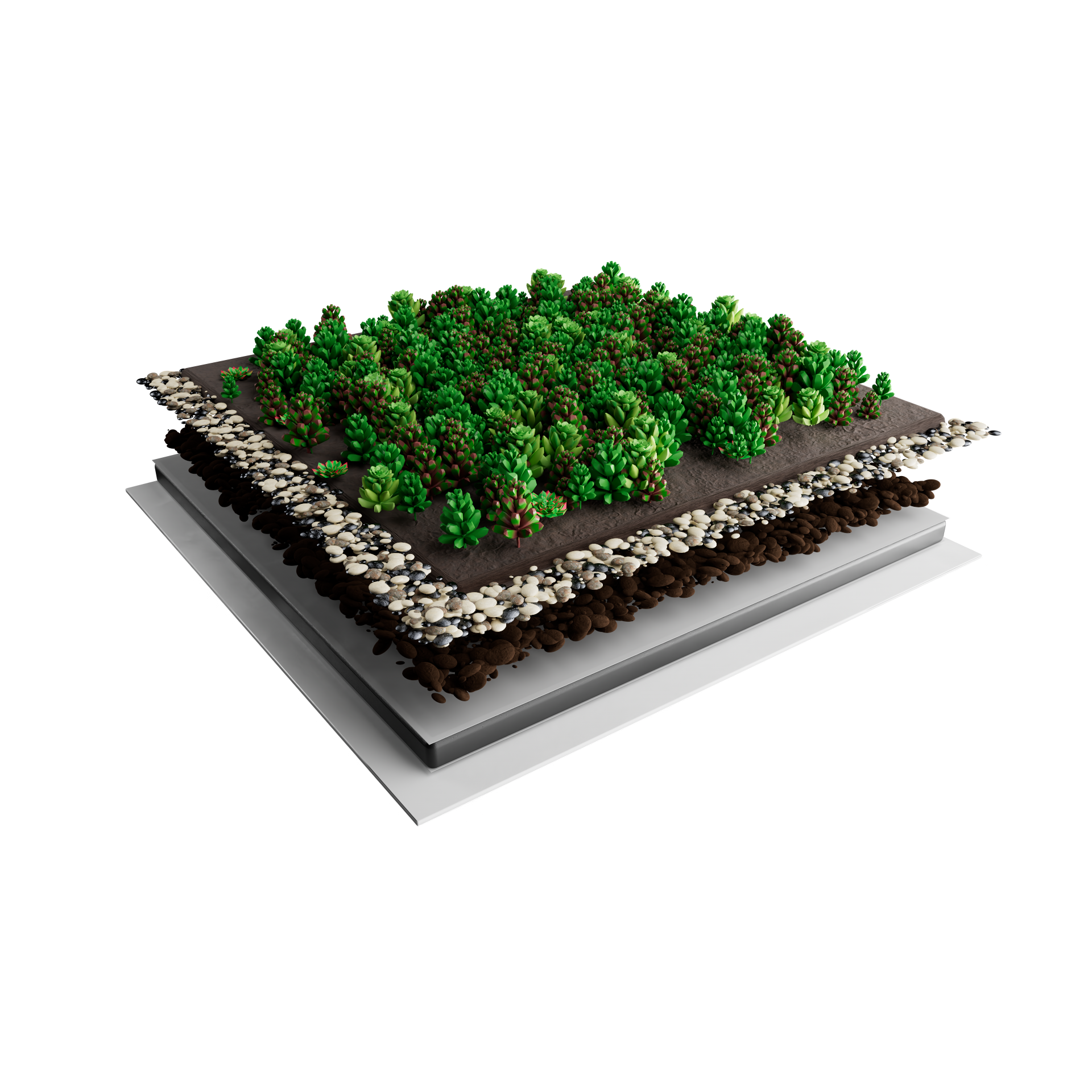 Sedummat | Per M2 | Incl. onderdoek, drainage, substraatkorrels en grindrand