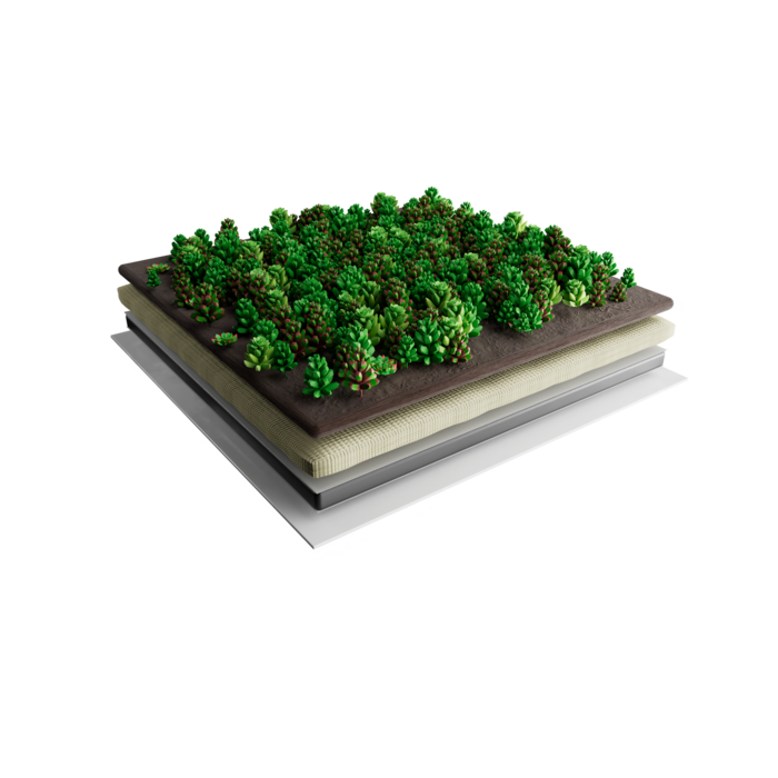 Simplysedum Sedummat | Per M2 | Incl. onderdoek, drainage en substraatrol