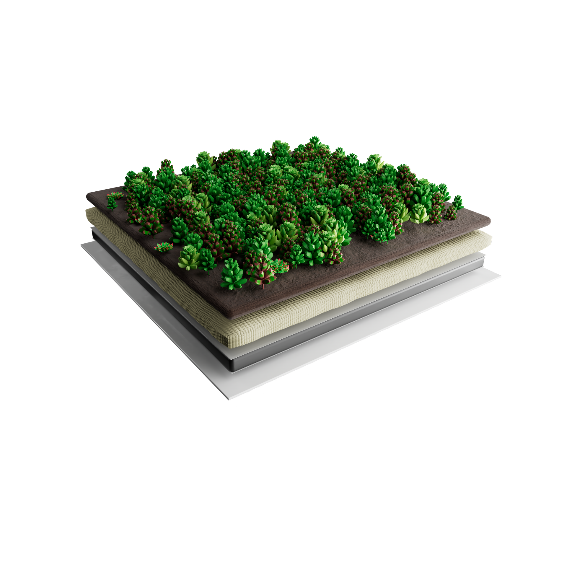 Sedummat | Per M2 | Incl. onderdoek, drainage en substraatrol