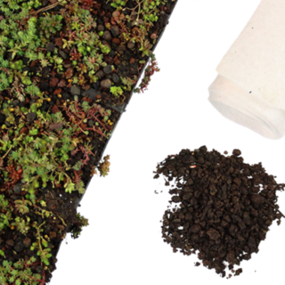 Simplysedum Sedummat | Per M2 | Incl. onderdoek en substraatkorrels