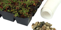 Simplysedum Sedum cassette | Per M2 | Incl. onderdoek en grindrand