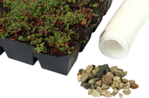 Simplysedum Sedum cassette | Per M2 | Incl. onderdoek en grindrand