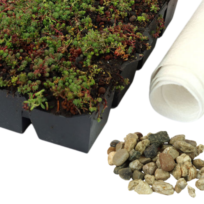 Simplysedum Sedum cassette | Per M2 | Incl. onderdoek en grindrand