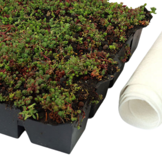 Simplysedum Sedum Cassette | Per M2 | Incl. onderdoek