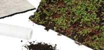 Simplysedum Sedummat | Per M2 | Incl. onderdoek, drainage en substraatkorrels