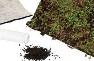 Simplysedum Sedummat | Per M2 | Incl. onderdoek, drainage en substraatkorrels