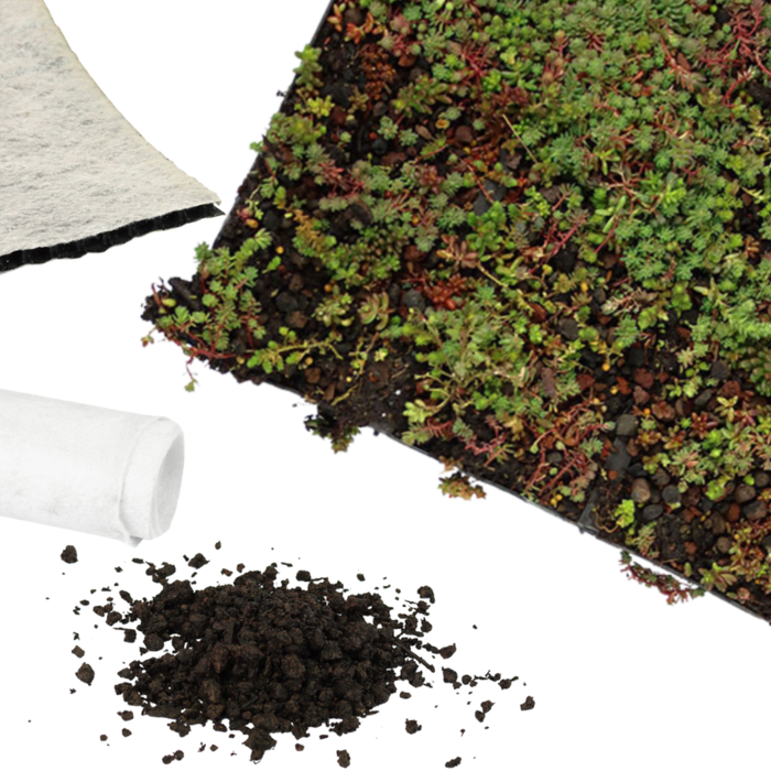 Simplysedum Sedummat | Per M2 | Incl. onderdoek, drainage en substraatkorrels