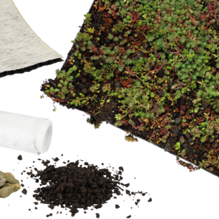 Simplysedum Sedummat | Per M2 | Incl. onderdoek, drainage, substraatkorrels en grindrand