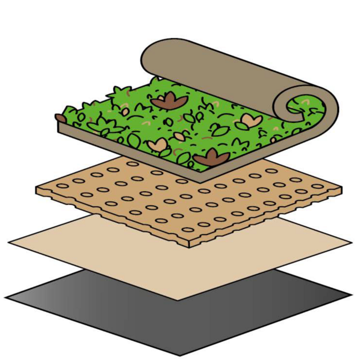 Simplysedum Secalflor | Per M2