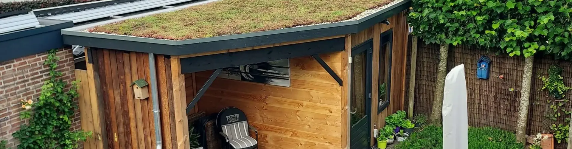 5 Creatieve manieren om sedum in je tuin te gebruiken