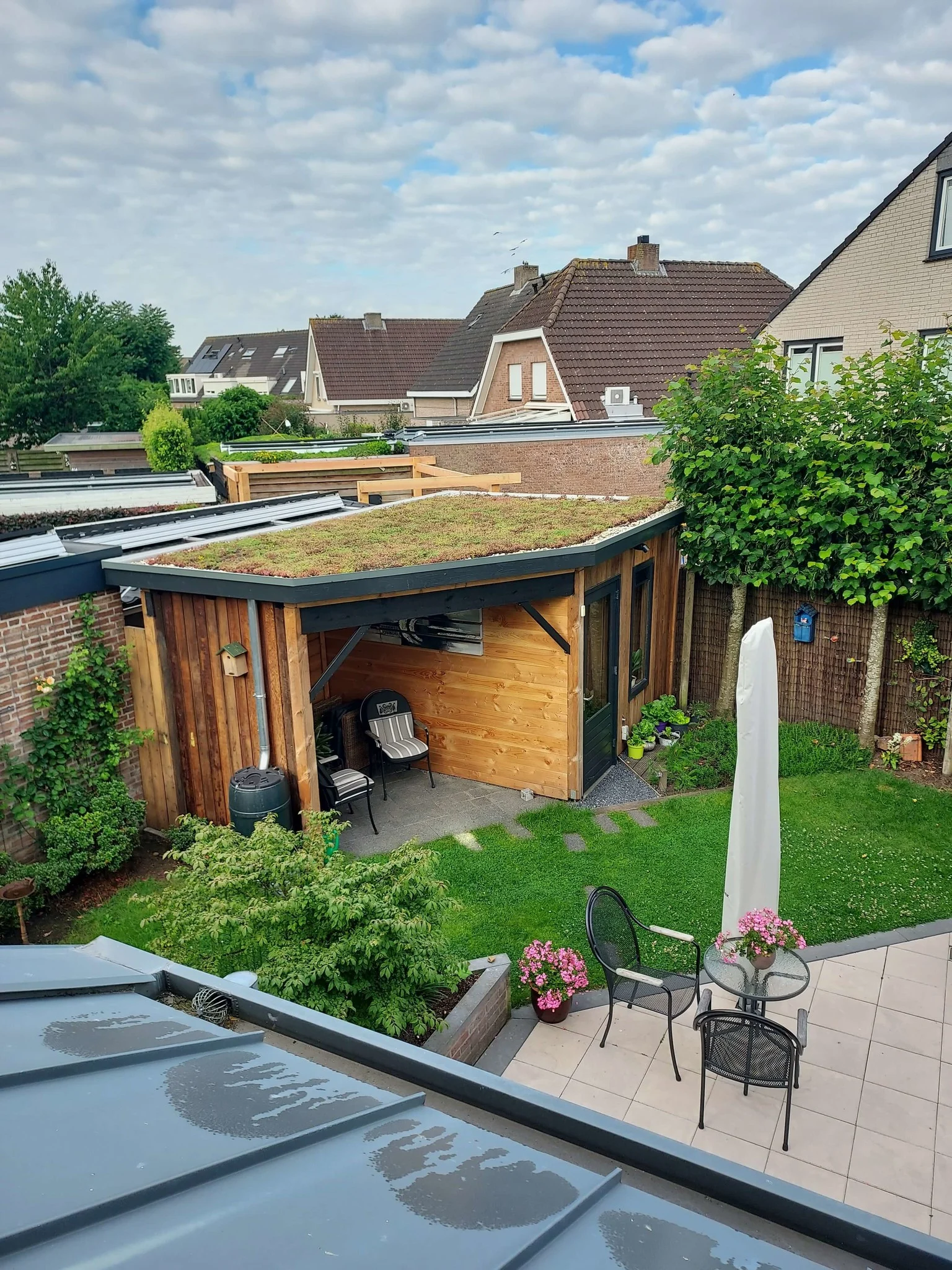 Sedumdak op een tuinhuisje ter isolatie