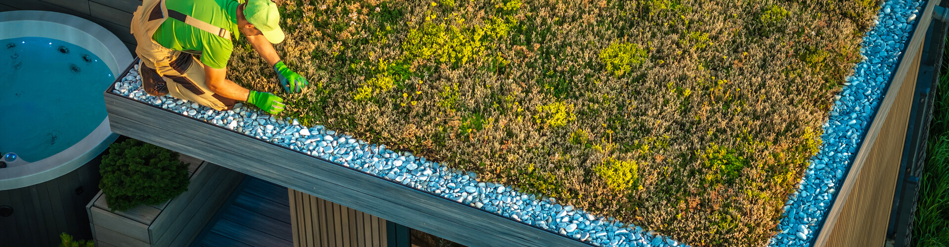 5 Onverwachte plekken waar je sedum kunt gebruiken (en waarom dat een slim idee is!)