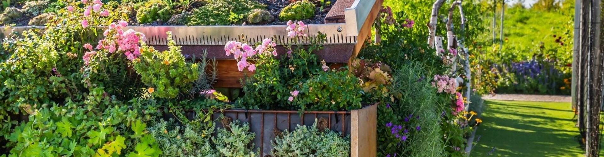 Kan een sedumdak in de schaduw?