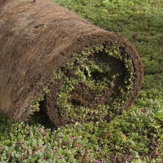 SimplySedum Sedummat | ZELF SAMENSTELLEN (configurator)