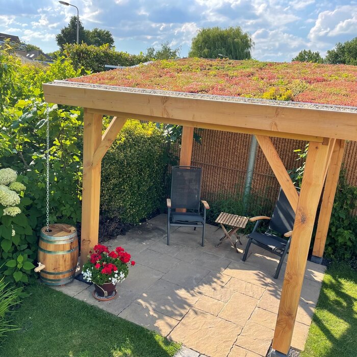 SimplySedum Sedummatten per M2 | Zelf samenstellen